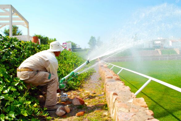 Fertilawn méxico jardinería y paisajismo, incluyendo diseño, mantenimiento, poda y fumigación