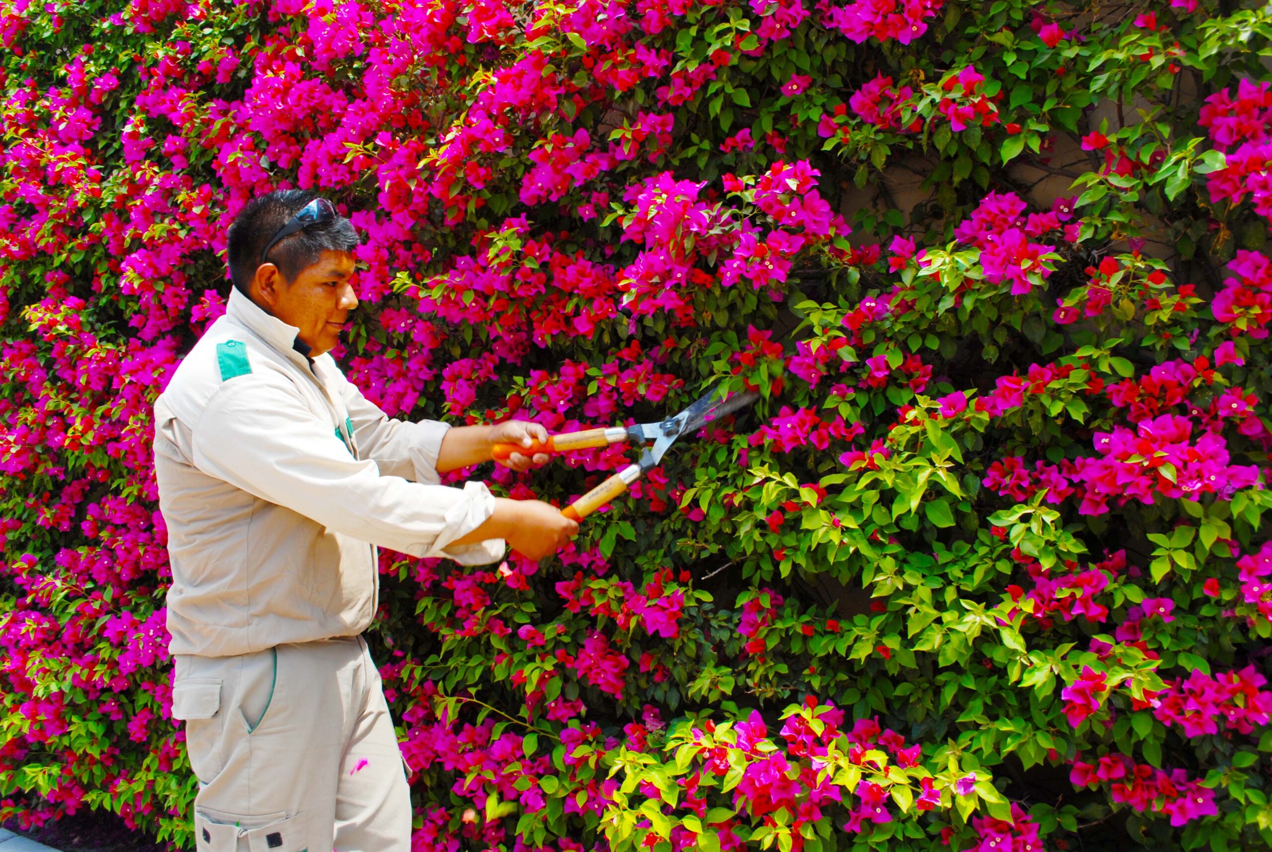 Fertilawn méxico jardinería y paisajismo, incluyendo diseño, mantenimiento, poda y fumigación